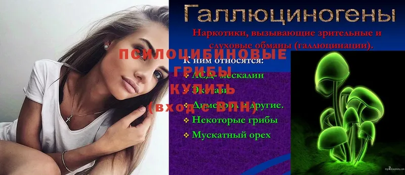 Галлюциногенные грибы Psilocybe  mega   Отрадная 